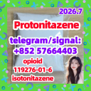 CAS 119276-01-6 Protonitazene