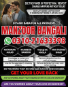 T1 amil baba contact number, amil baba in sailkot, 03102163398 real amil baba