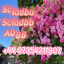 5cladba 5cladba Yellow Powder 5CL-ADB-A 5F-Adb 5Fadb