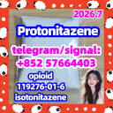 Protonitazene hydrochloride cas 119276–01–6 powder