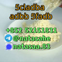 5cladba 5cl yellow powder 5cladba from best supplier