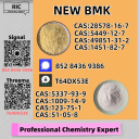 Respected Source New PM.K 28578-16-7 and B.MK 5449-12-7