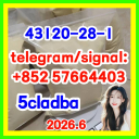 Factory 99% 1h-Indazole-3-Carboxylic Acid Methyl Ester Powder CAS 43120-28-1