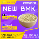 BMK Glycidic Acid Sodium Salt CAS 5449-12-7 | China Manufacturer Direct Supply High Purity 99% Bulk Export