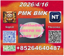 Feedstocks P-MK CAS 28578-16-7 CASB-MK 5449-12-7/ 49851-31-2