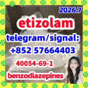 40054-69-1 etizolam