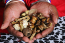 [+27764410726]. Namibia & Swaziland ^ SANGOMA / TRADITIONAL HEALER  in  Zimbabwe, Lesotho, Welkom, Ficksburg,  Zeerust,  Johannesburg,  Cosmo City,  Midrand,  Randfontein,  Kwamhlanga,  Soshanguve,  Hammanskraal,  Bizana,