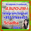 1h-Indazole-3-Carboxylic Acid Methyl Ester 43120-28-1 Daily Chemicals Research Use Fast