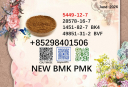 New BMK PMK 5449-12-7 hot selling CAS 28578-16-7 BK4 BVF Powder