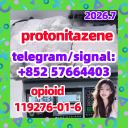 Protonitazene CAS:119276-01-6