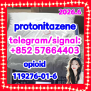 Protonitazene (hydrochloride) 119276-01-6