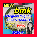 5449-12-7 BMK Glycidic (sodium salt) 5449-12-7