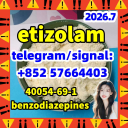 etizolam 40054-69-1