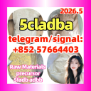 5cl 5cladba best cannabinoid 5cladba precursor raw 5cl-adb-a 现货