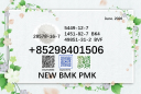 CAS 5449-12-7 and 28578-16-7 BMK 1451-82-7 49851-31-2 PMK with best price