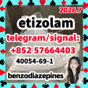 40054-69-1 etizolam