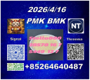 Express delivery CAS 28578-16-7PM.K and CAS 5449-12-7BM.K /49851-31-2