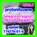 Protonitazene CAS 119276-01-6