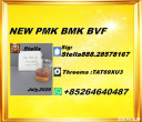 facilitating circulation New PM.K cas 28578-16-7/ BM.K CAS:5449-12-7/