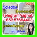 Protonitazene 119276-01-6  opioid analgesia and sedative