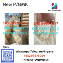 NEW PMK BMK CAS 1009-14-9 Best Service