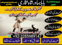 powerful amil baba in pakistan,black magic expert pakistan