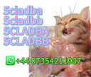 5cladba Original Product Name 5clAdba Synonyms 5clAdba CAS NO. 137350-66-4 Purity Above 99