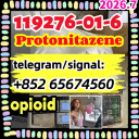 Protonitazene CAS 119276-01-6  (hydrochloride)，opioid