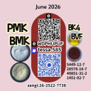 CAS 5449-12-7BMK Powder Glycidic Acid sodium salt 28578-16-7 PMK Global Shipping Network
