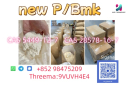 NEW PMK BMK CAS 5449-12-7 Fast delivery